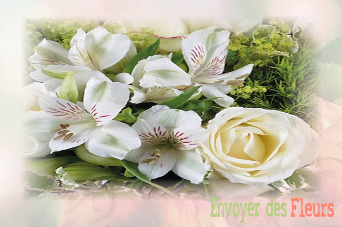 envoyer des fleurs à à SAINT-GENIS-LES-OLLIERES